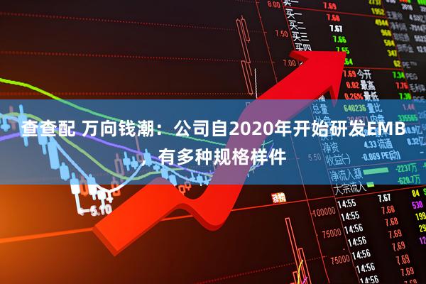 查查配 万向钱潮：公司自2020年开始研发EMB，有多种规格样件