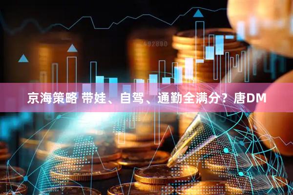 京海策略 带娃、自驾、通勤全满分？唐DM