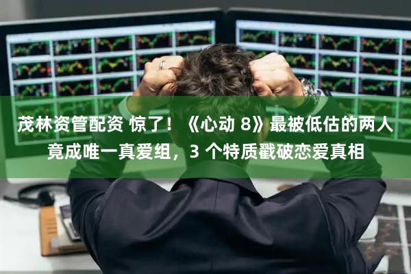 茂林资管配资 惊了！《心动 8》最被低估的两人竟成唯一真爱组，3 个特质戳破恋爱真相