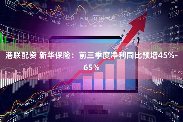 港联配资 新华保险：前三季度净利同比预增45%-65%